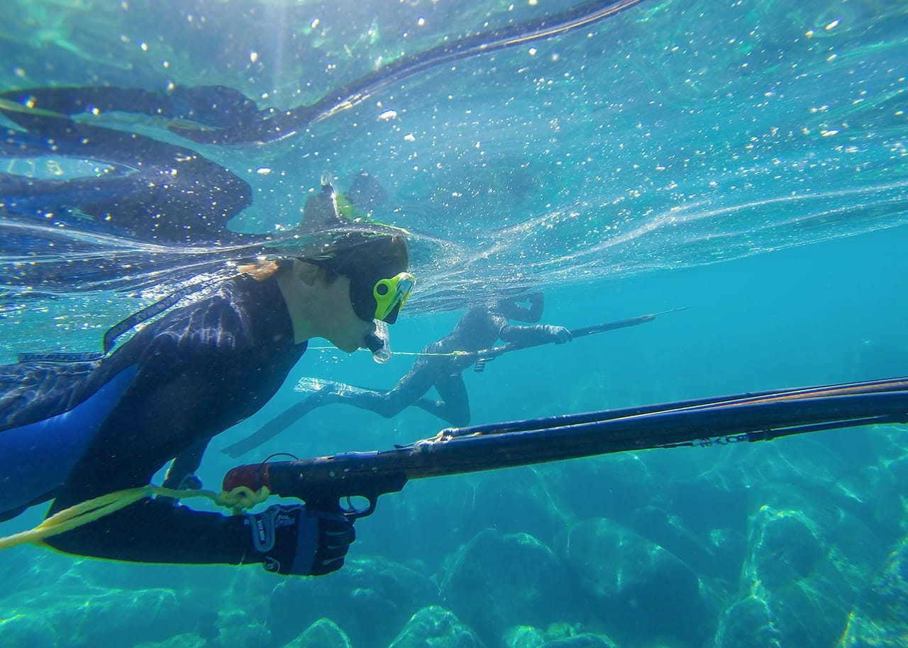 Pesca submarina guiada en tierra