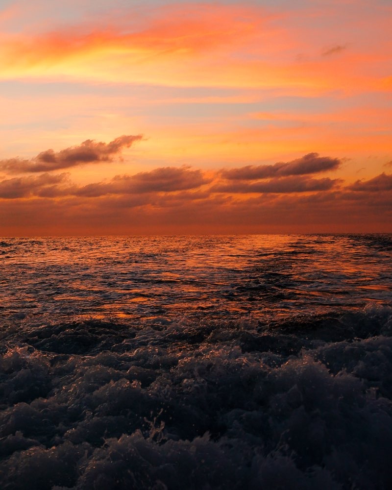 Crucero al atardecer