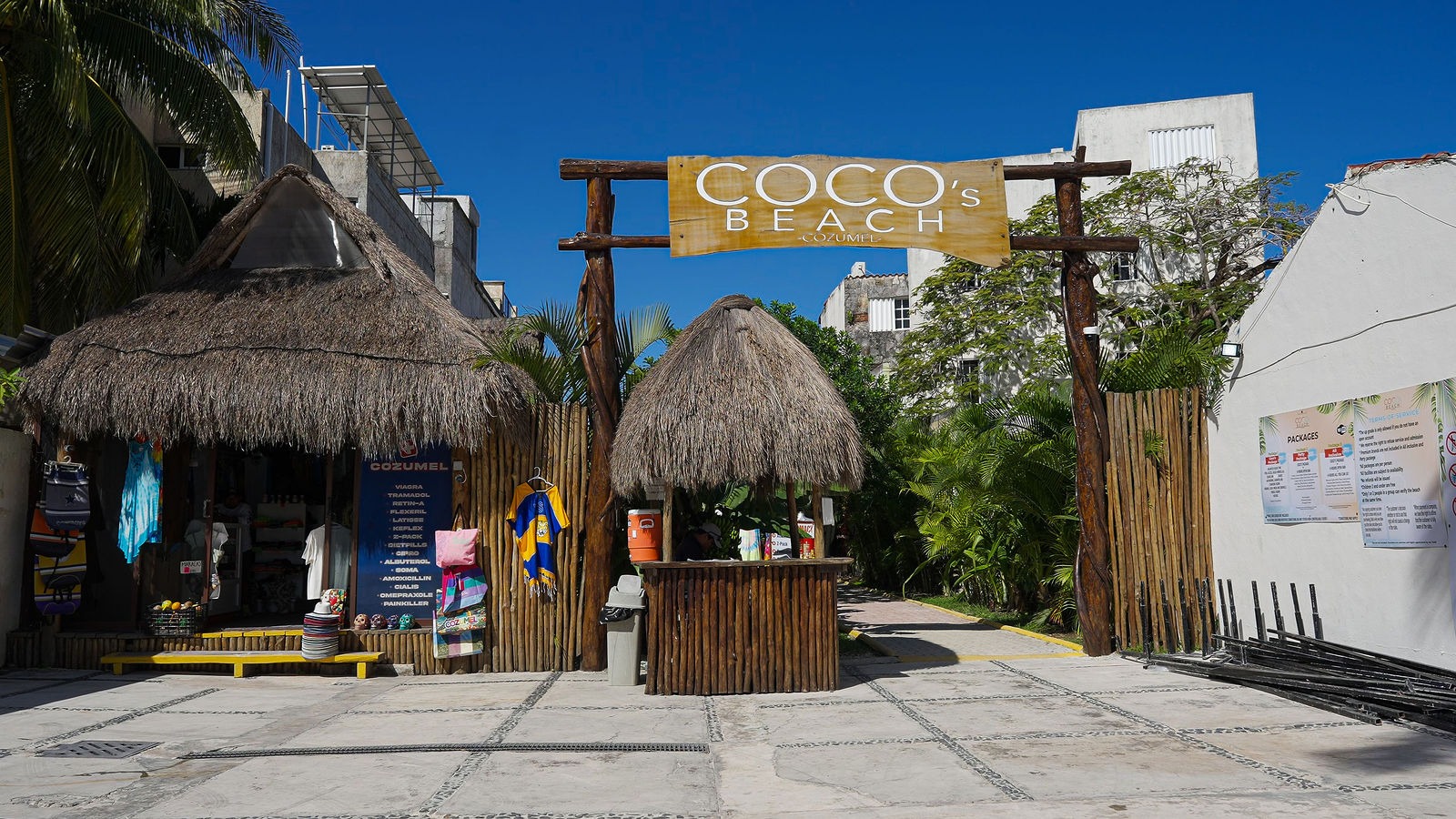 Private Buggy Tour to Punta Sur with Snorkel & Lunch