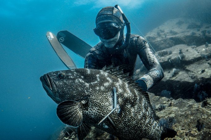Inshore Guided Spearfishing
