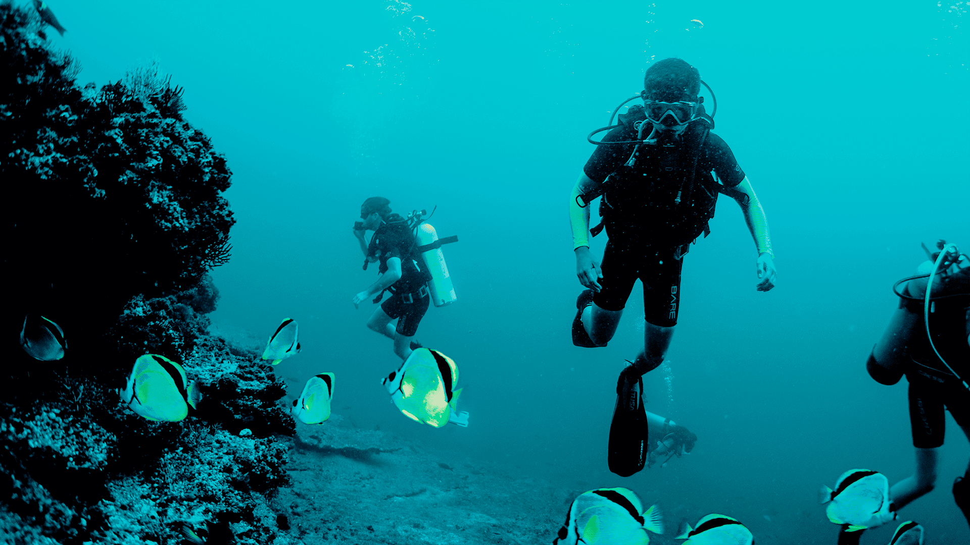 Discover Scuba Diving